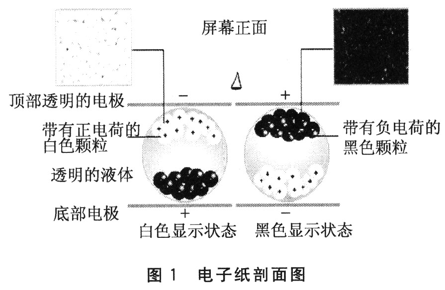 点击放大图片