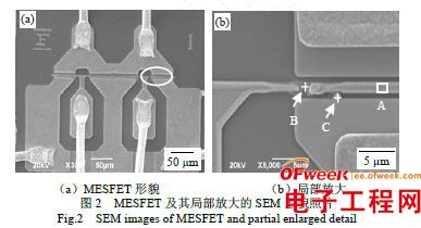 栅极导电层Au迁移导致放大器失效原因分析