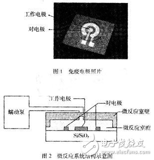 基于免疫微传感器的微流体系统