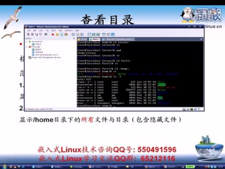 国嵌嵌入式体验入门班-3-2（Linux命令）