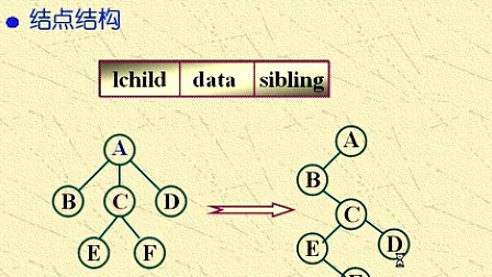 吉林大学数据结构第六章树第六节
