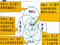 大学生学习指导5.1 影响学习的因素