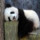 舒庆春