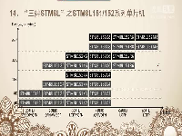 【第2讲】思修电子STM8视频教程-初识STM8单片机家族