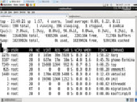 1-7-4-top命令使用方法