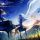 sKyty