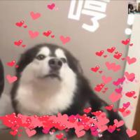 哆啦a梦