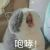 笨的要死